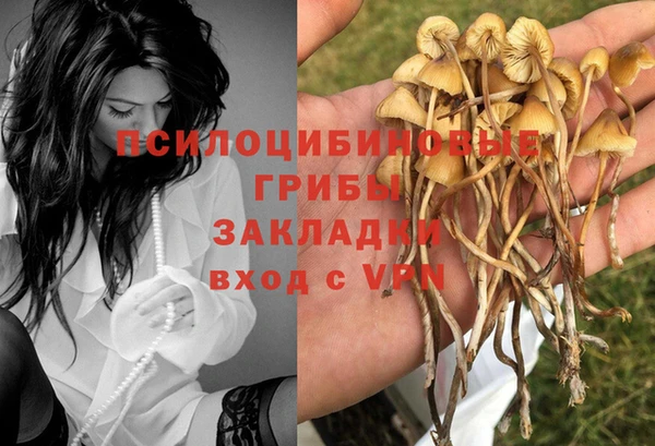 2c-b Абдулино