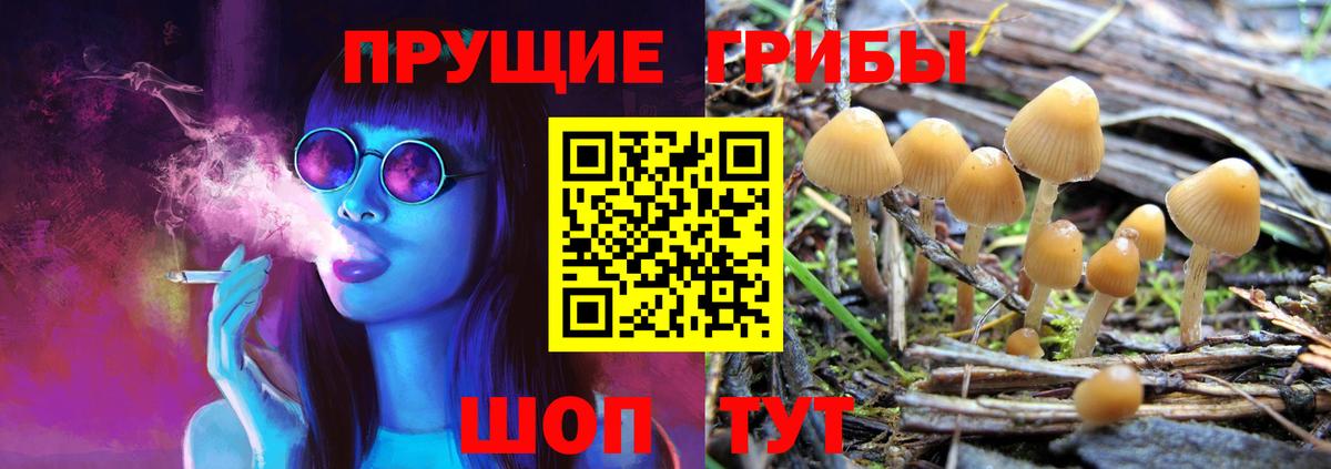Ярославль  купить  цена  Вход с VPN  Псилоцибиновые грибы Magic Shrooms 