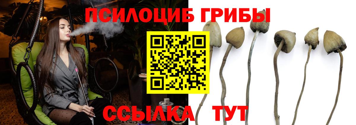 Галлюциногенные грибы Magic Shrooms Ярославль